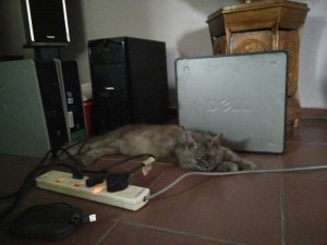 Cik Kiah